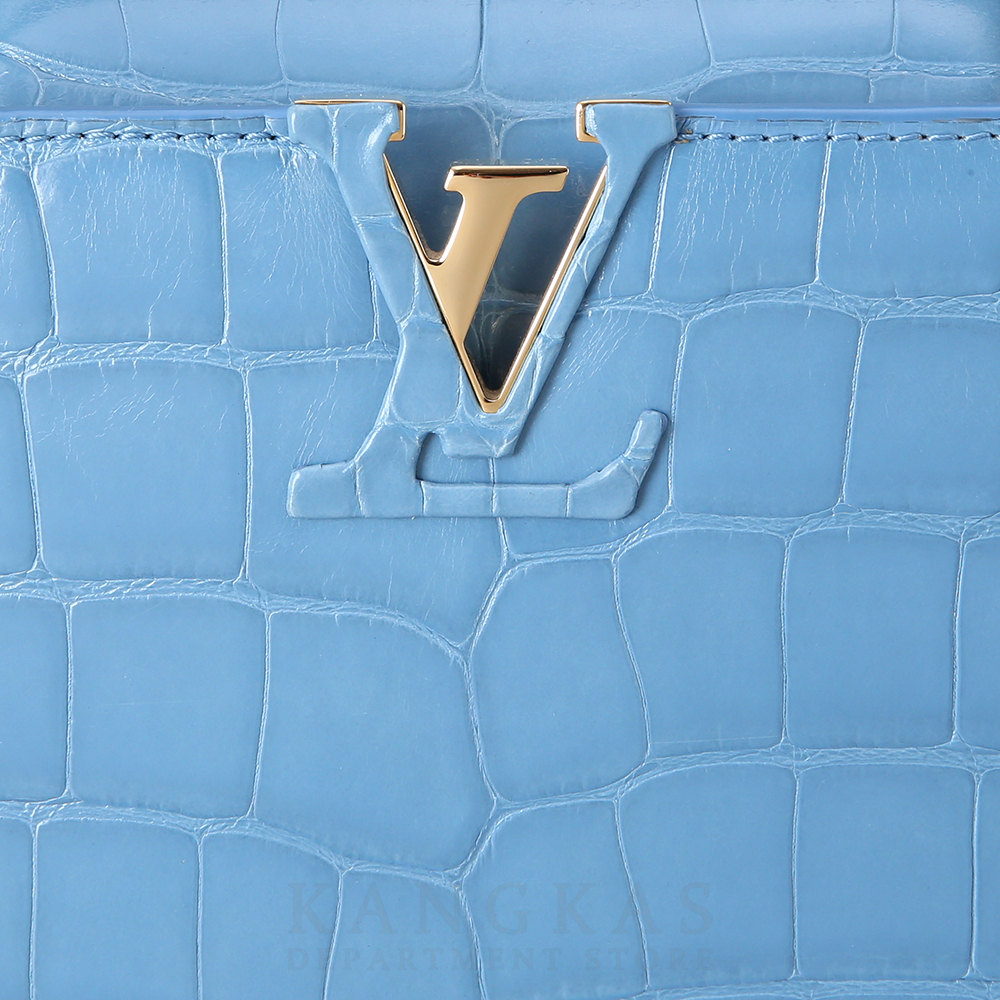 LOUIS VUITTON(USED)루이비통 와니 카퓌신 BB
